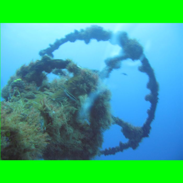 Dive WP Wrecks 25-Oct-09_266.JPG